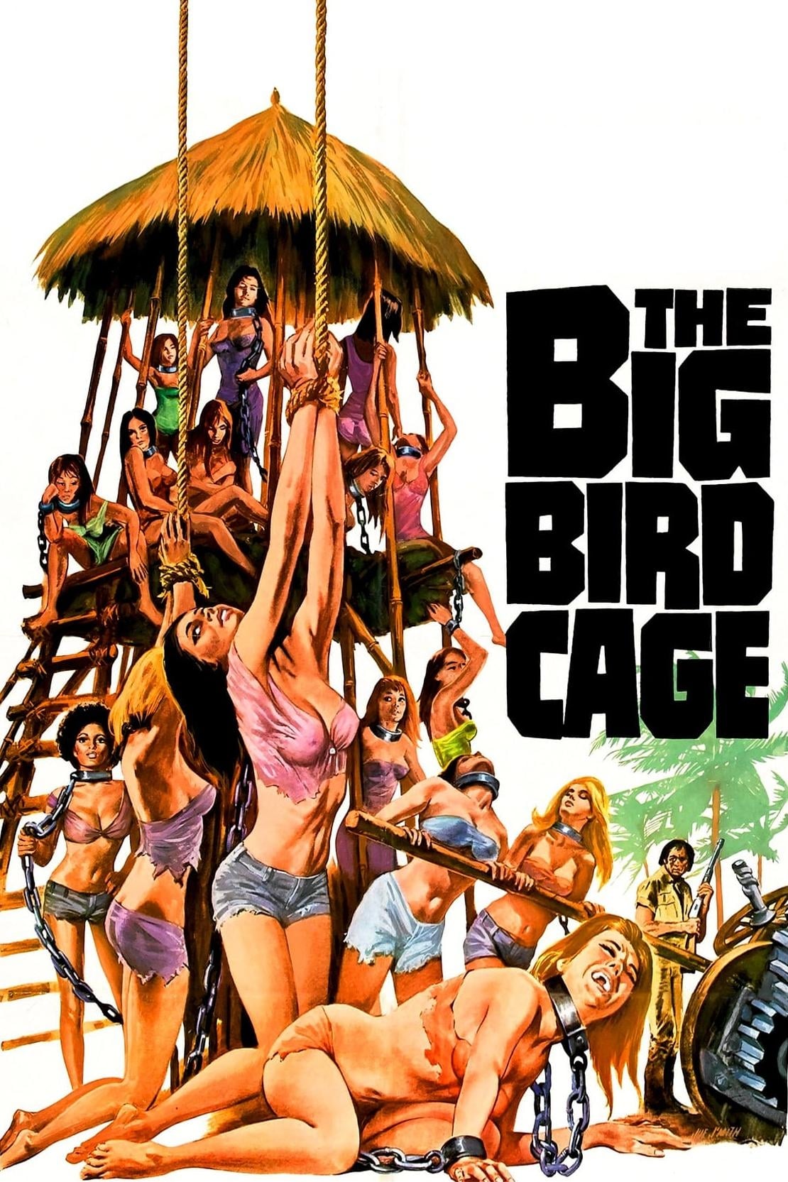 Постер The Big Bird Cage